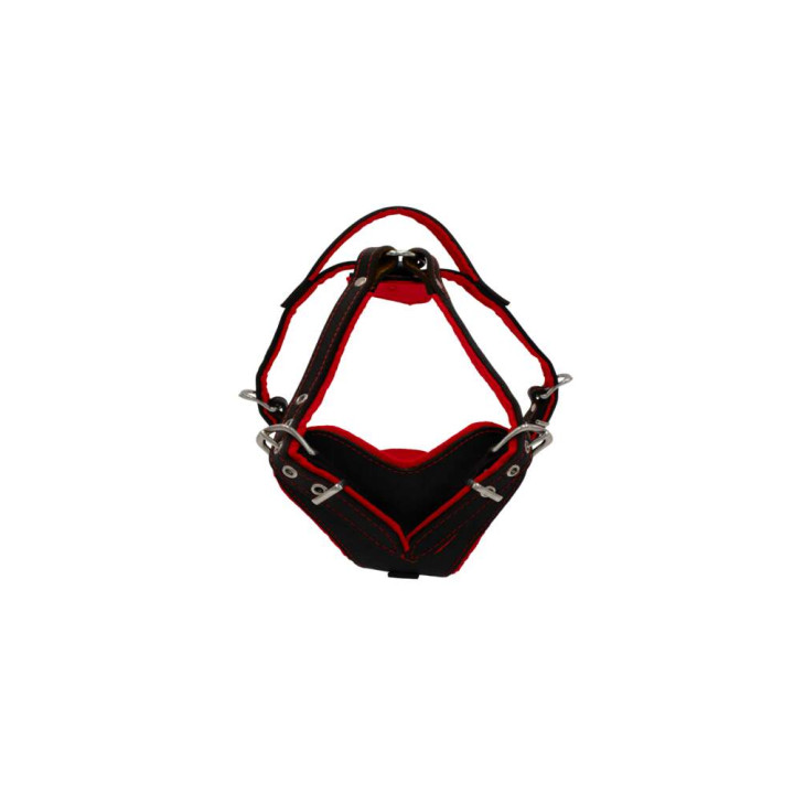 sd01001-00-50-bk-00_a.jpg