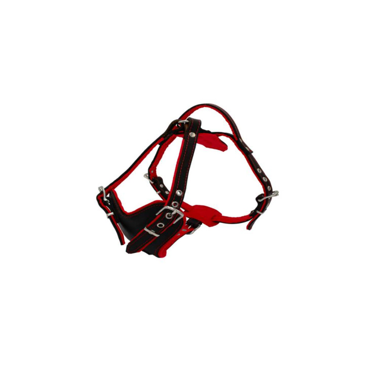 sd01001-00-50-bk-00_b.jpg