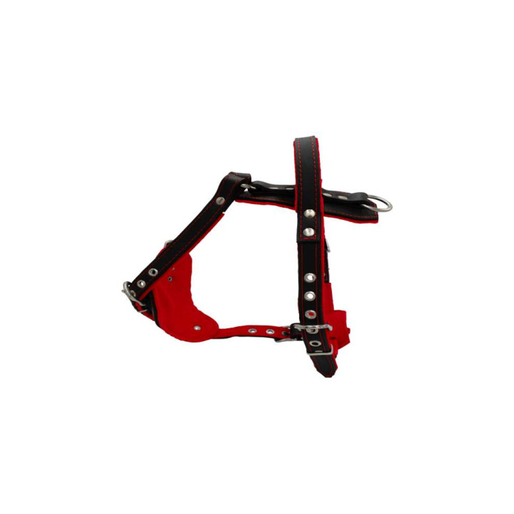 sd01001-00-50-bk-00_d.jpg