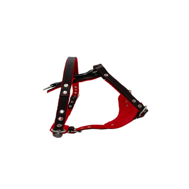 sd01001-00-50-bk-00_e.jpg