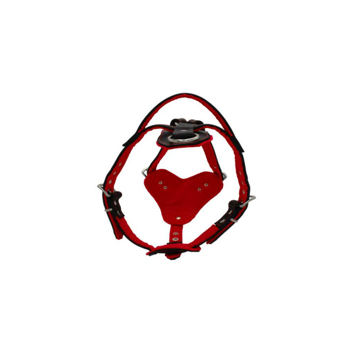 sd01001-00-50-bk-00_f.jpg