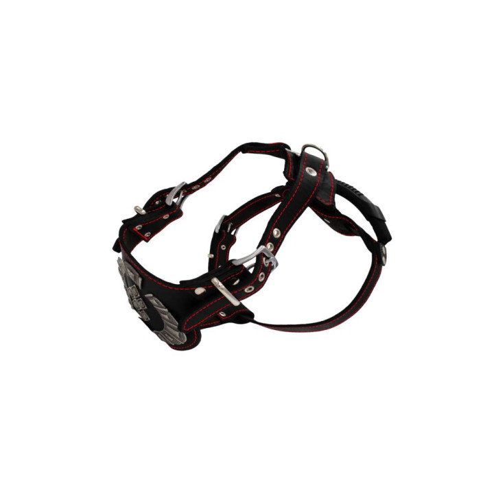 sd01002-00-50-bk-00_b.jpg