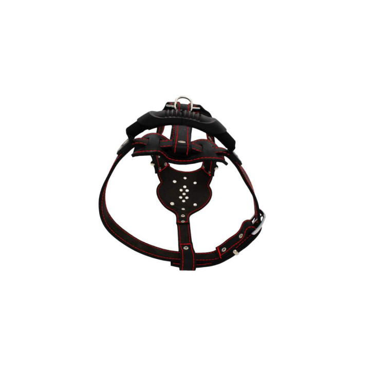 sd01002-00-50-bk-00_f.jpg