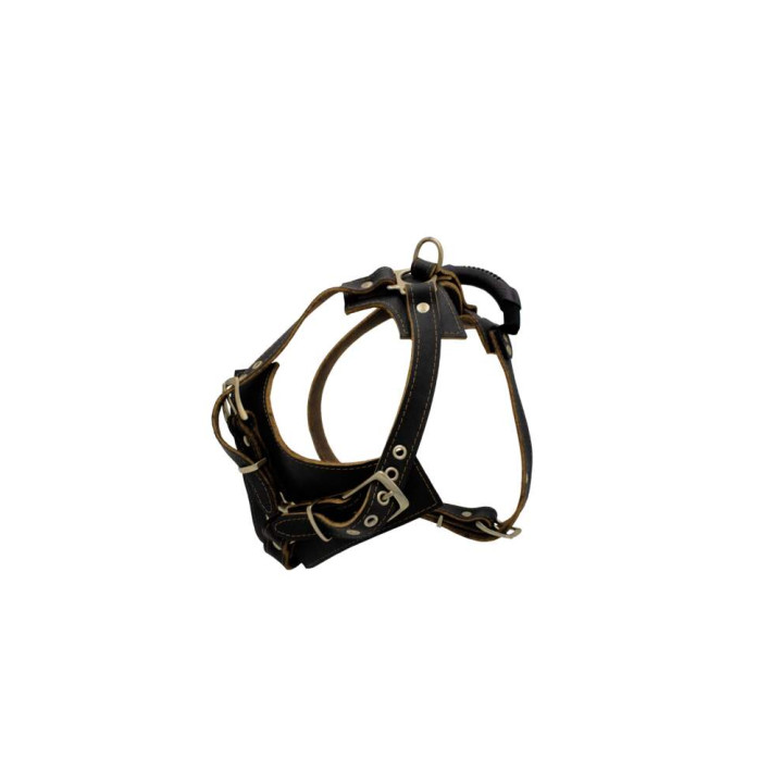 sd01003-00-50-bk-00_b.jpg