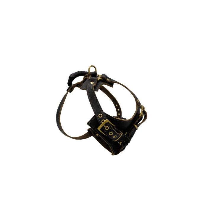 sd01003-00-50-bk-00_c.jpg